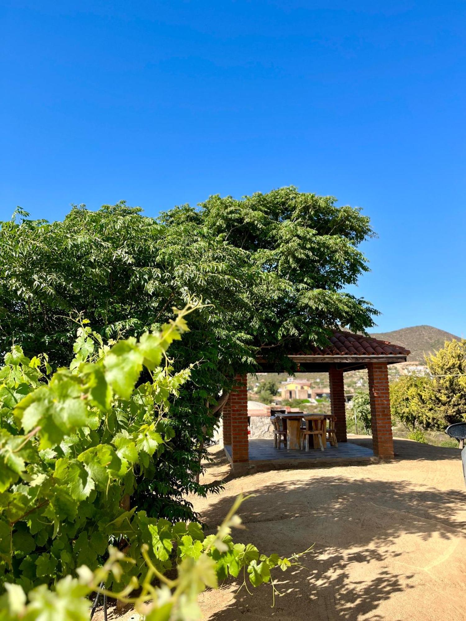 Cabanas Colibri Valle de Guadalupe Exteriér fotografie